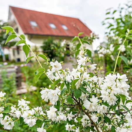 Beutenmuehle Straussenfarm Dach Owingen Exterior photo