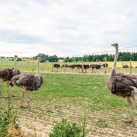 Beutenmuehle Straussenfarm Dach Owingen Exterior photo