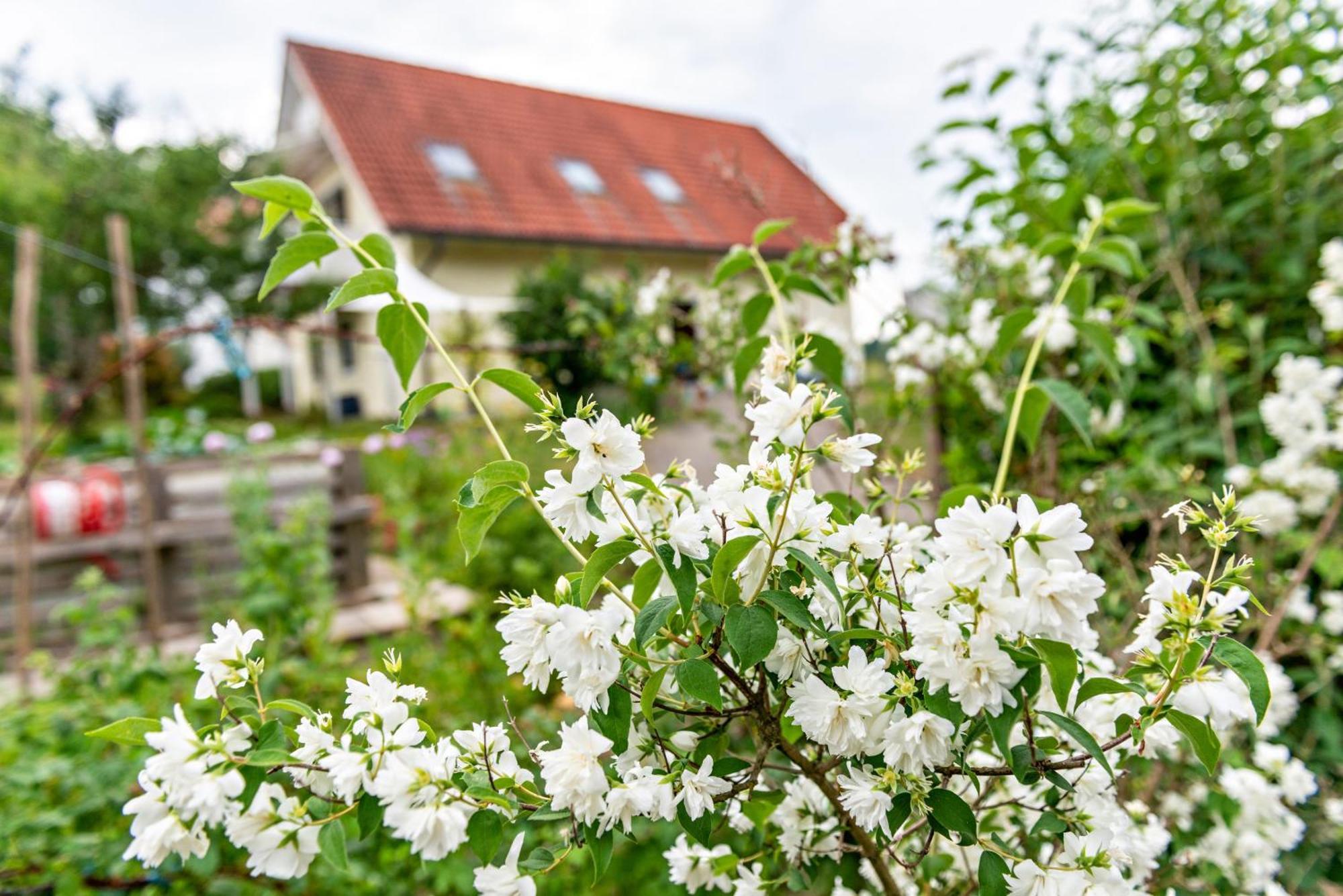 Beutenmuehle Straussenfarm Dach Owingen Exterior photo