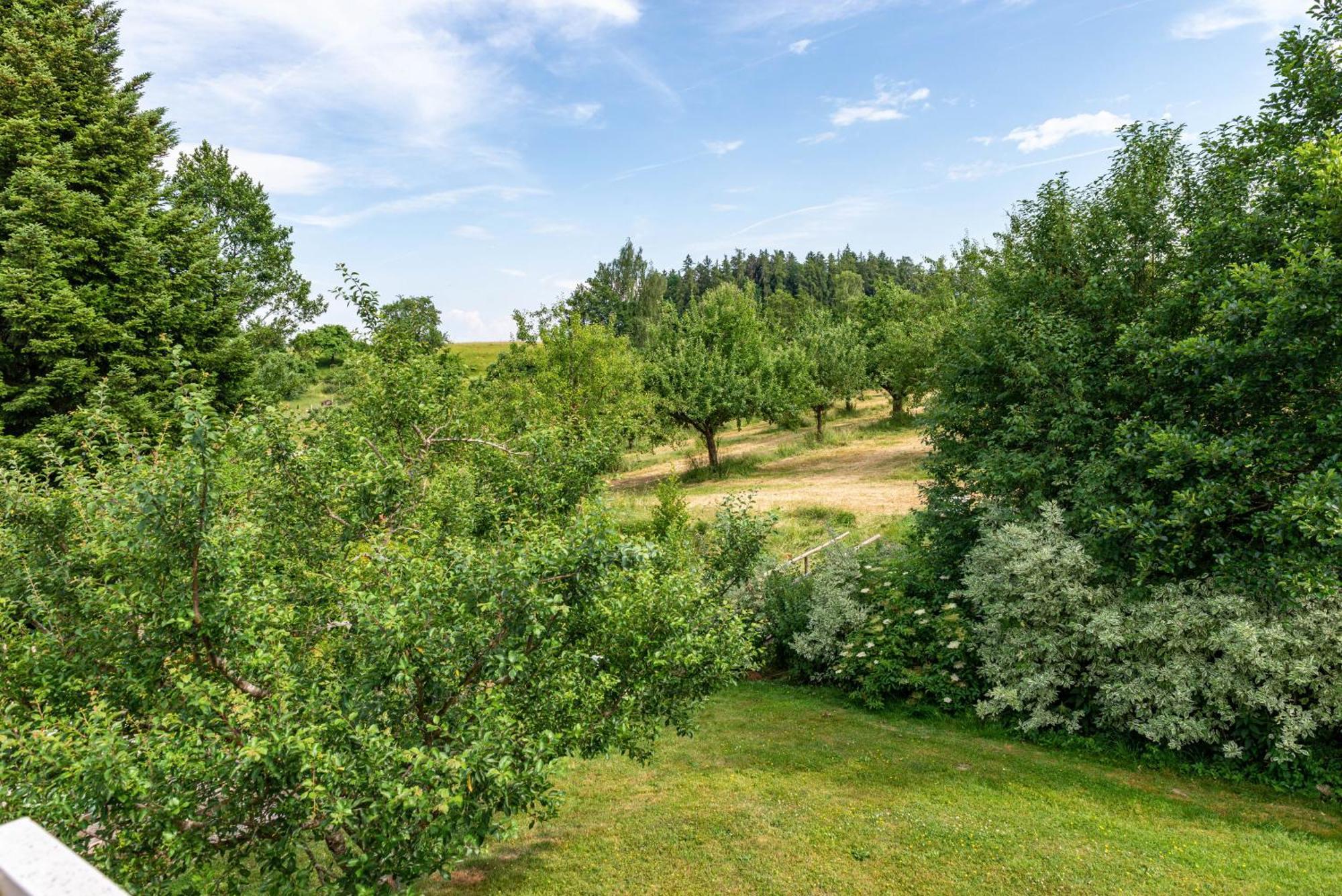 Beutenmuehle Straussenfarm Dach Owingen Exterior photo